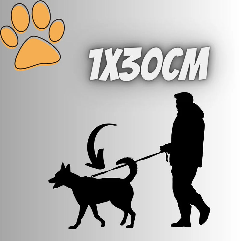 Guia Para Cachorro Reforçada, Guia Pet Cães Pequeno e Médio Porte. A Guia Perfeita para Passeios Seguros e Confortáveis com Seu Cão!